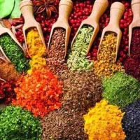 دورکاری ویژه بانوان