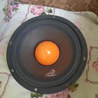 میدرنج غول سایز ۸ Z2