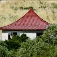 مجری تخصصی انواع سقف های شیبدار،آلاچیق|خدمات پیشه و مهارت|ارژن, |دیوار