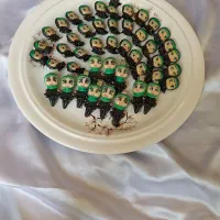 گیره و سنجاق