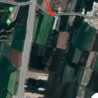 ۴۰۰۰ مترمربع گلخانه و باغ-ویلا جنب اتوبان خرم‌آباد|فروش دفتر صنعتی، کشاورزی، تجاری|الشتر, |دیوار