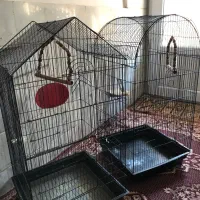 قفس بزرگ طوطی و طرقه وقفس کوچک