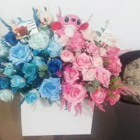 گل نوزاد بیمارستان سیسمونی دوقلو ها