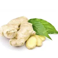 پخش زنجبیل