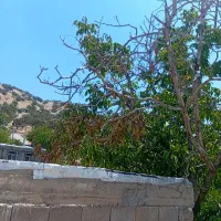 اجاره خانه مستقل
