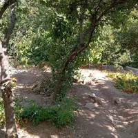 باغ-413-متری-در-محله-قاضی-سولقان-سند-دار