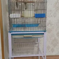 قفس نو به همراه پایه نو نو