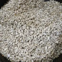 قوتو اصل کرمان|خوردنی و آشامیدنی|مشهد, کوشش|دیوار
