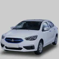 شاهین پلاس خشک