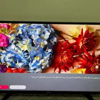 تلویزیون۴۳ال جی