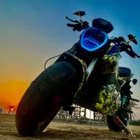 جگوار تسمه‌ای