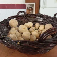 سبد حصیری سنتی