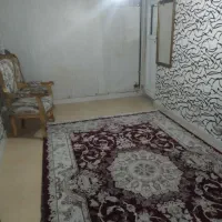 نظافت منزل فقط خانم