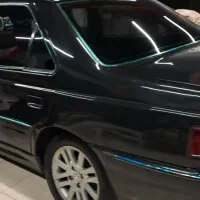 پارس ۸۱ عروسک