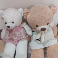 خرس بزرگ