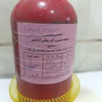 کپسول آتش نشانی co2
