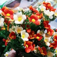 گل مصنوعی|گل مصنوعی|نورآباد, |دیوار