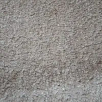 موکت پالاز دست دوم