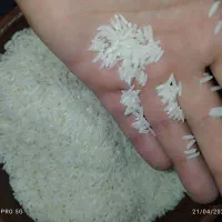 برنج هاشمی زرد دوم سورتینگ شده