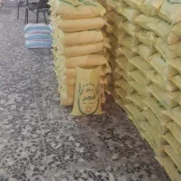 انواع برنج ایرانی