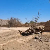 فرصت-سرمایه-گذاری-زمین-شمالی-114-متری-فرخی-شمالی
