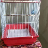 یک عدد قفس پرنده فوری|لوازم جانبی حیوانات|پاکدشت, پاکدشت (مامازند)|دیوار