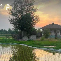 فروش خانه محوطه و زمین مختلط با امتیاز در دلچه رشت|فروش زمین و ملک کلنگی|کوچصفهان, |دیوار