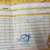 زنجیر طلا یزدی