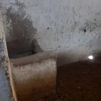 سالن مناسب اسطبل و سایر مشاغل|اجارهٔ دفتر صنعتی، کشاورزی، تجاری|اردبیل, |دیوار