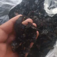 خریدار لیمو خشک صندوقی و کیلویی. نقد|خدمات باغبانی و درختکاری|جهرم, |دیوار