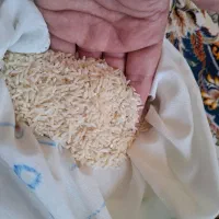 برنج طارم مستقیم از کشاورز|خوردنی و آشامیدنی|قم, زنبیل آباد|دیوار