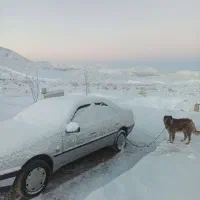 وضوح کامل تصویر به صورت انلاین