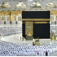 فیش عمره الویت 350