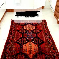 انواع کناره و قالیچه پشمی