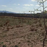 زمین|فروش زمین و ملک کلنگی|اشتهارد, |دیوار