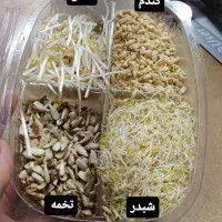 دستگاه جوانه ساز اتومات صنعتی|ماشین‌آلات صنعتی|تهران, پامنار|دیوار