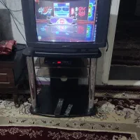 تلویزیون