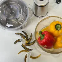 بازرگانی حاجیان