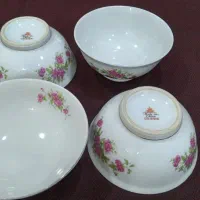 گلسرخی قدیمی ابگوشت خوری|ظروف سرو و پذیرایی|رشت, لاکانی|دیوار