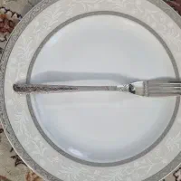 چنگال استیل مدل اروپایی مارک اشنایدر