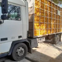 فروش بادسان مدل ،82|خودرو سنگین|نگین شهر, |دیوار