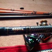 لنسر ماهیگیری