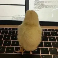 نقد و فوری ۶۰۰ تومن با اولین ورود