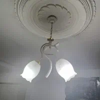 باسلام لوسترآویزی دوشاخه
