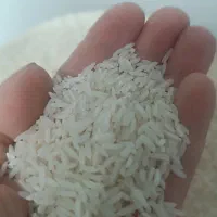 برنج هاشمی درجه یک