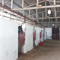 پانسیون و آموزش اسب