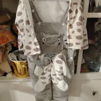 همگی سالم درحدنو|کلکسیون و سرگرمی|نیشابور, محله میدان باغات|دیوار