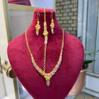 سرویس دورنگ بدون اجرت