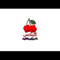 مربی خانه بازی