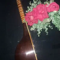 سه تار مفاخری (سفارشی ساخت)|سازهای سنتی|دزفول, |دیوار